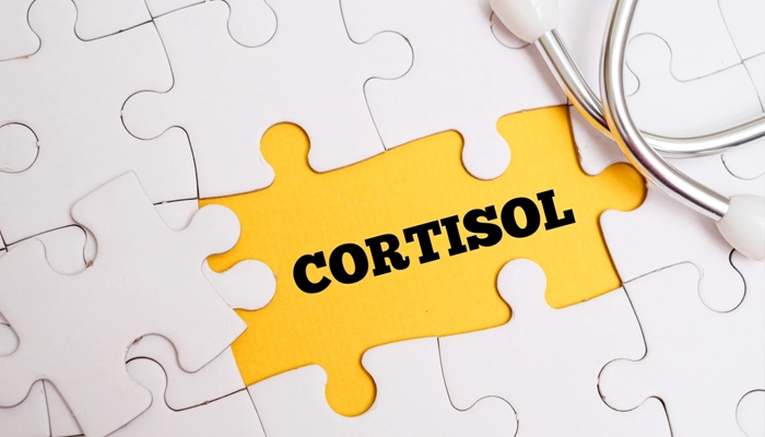 Cortisol Cao Gây Béo Bụng: Nguyên Nhân Và Cách Giảm Tự Nhiên